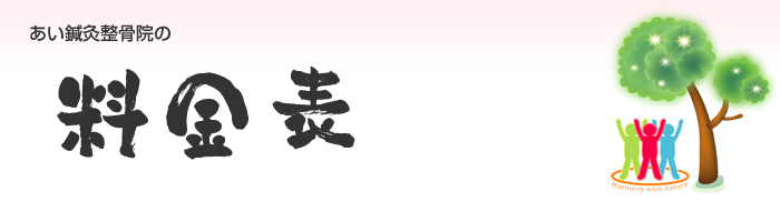 姫路市西今宿あい鍼灸整骨院料金表